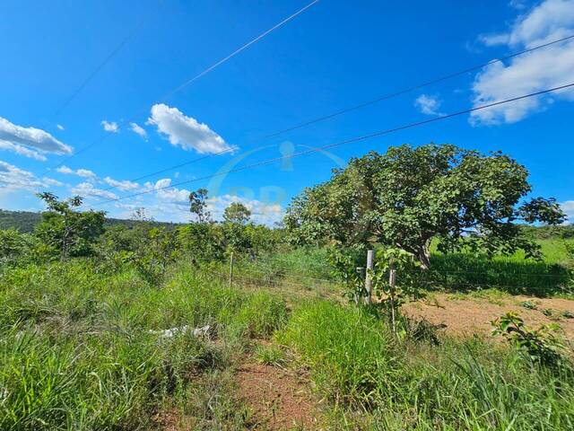 #791 - Fazenda para Venda em Luziânia - GO - 2