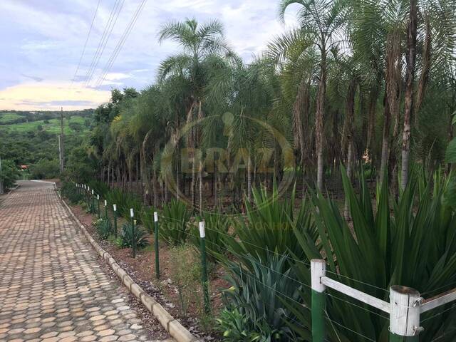 Venda em Corumbá III - Luziânia